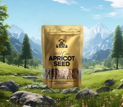 Apricot Seeds