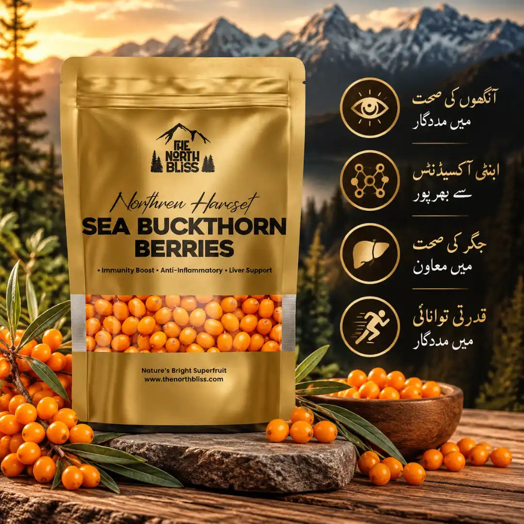 Dried Sea Buckthorn Berries 120g with product benefits in Urdu by The North Bliss